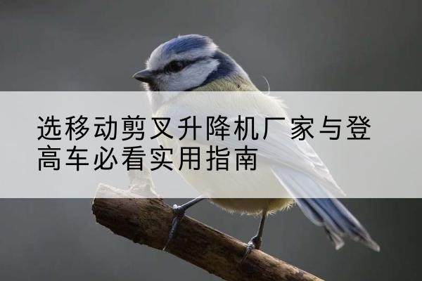 闽清电动升降机厂家-选移动剪叉升降机厂家与登高车必看实用指南