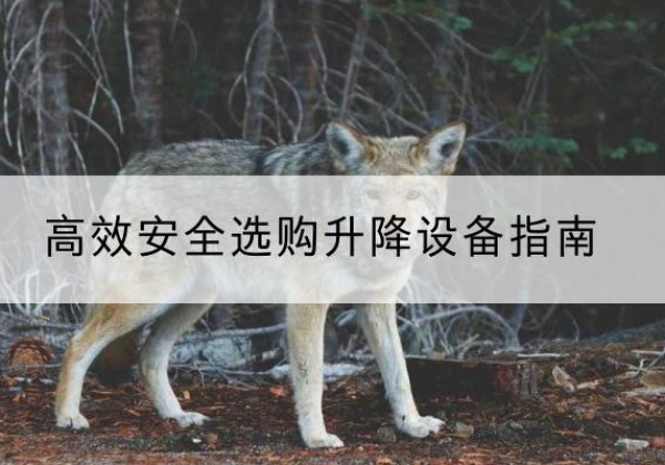闽清升降货梯厂家推荐-*安全选购升降设备指南