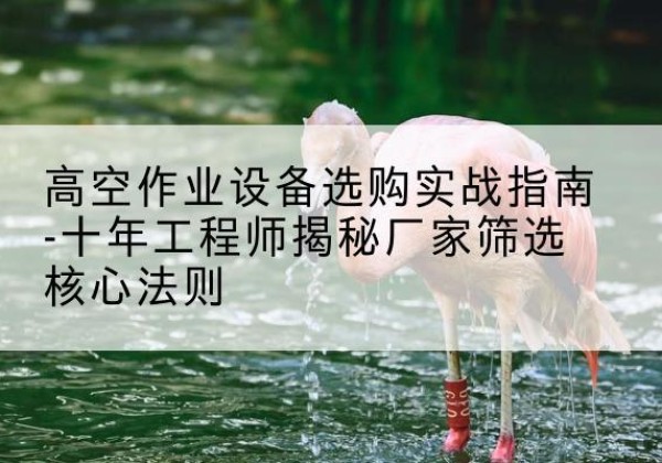 闽清剪叉式升降机厂家-高空作业设备选购实战指南-十年工程师揭秘厂家筛选核心法则