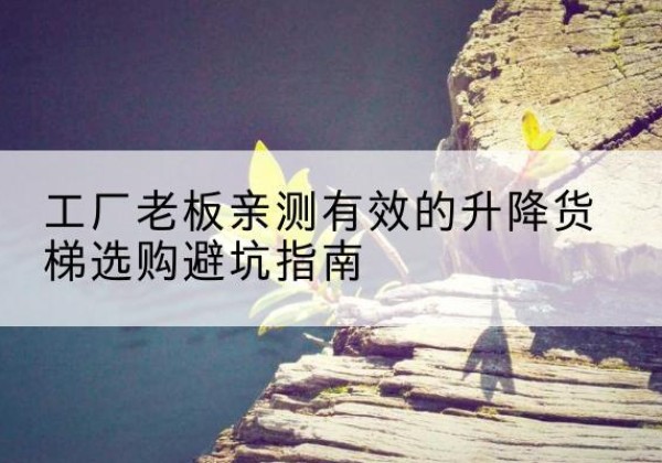 闽清升降货梯怎么选-工厂老板亲测有效的升降货梯选购避坑指南